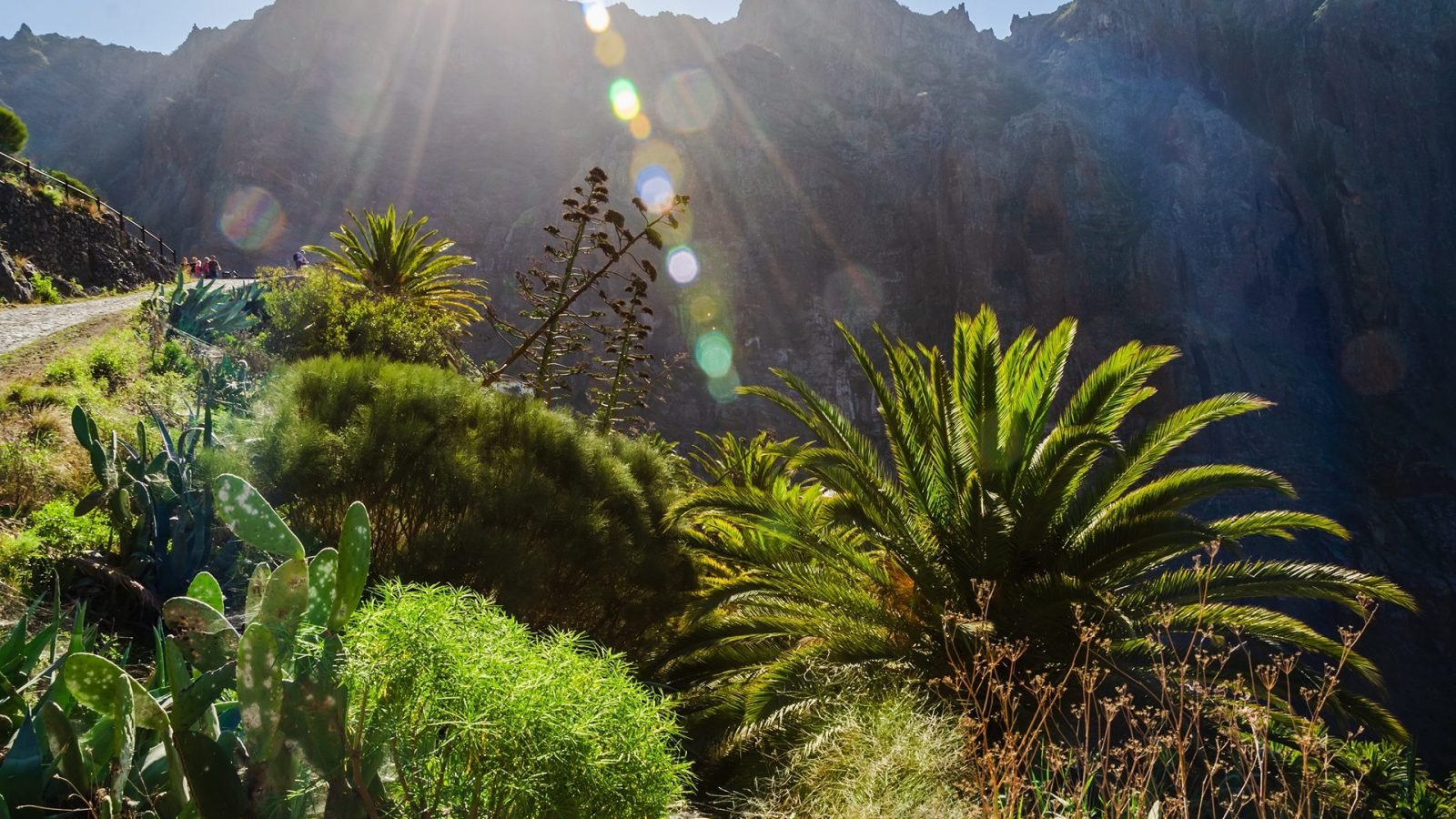 coolcation-czyli-gdzie-na-wakacje-bez-upalow-galeria-2