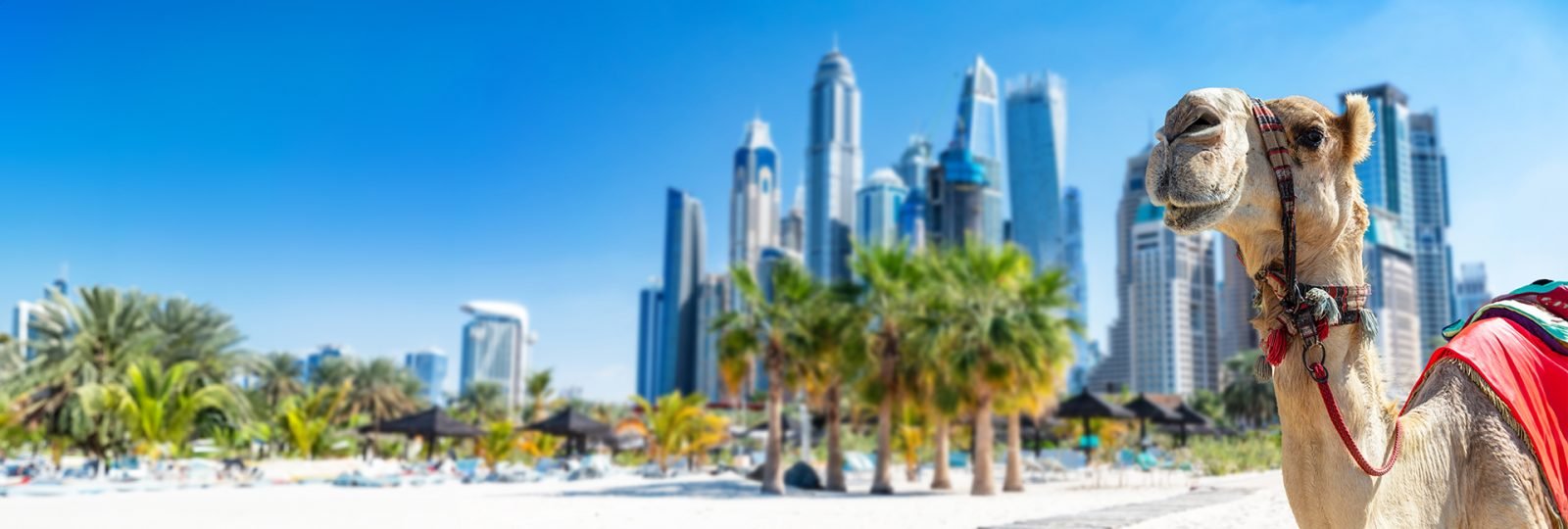 zjednoczone-emiraty-arabskie-to-nie-tylko-dubaj