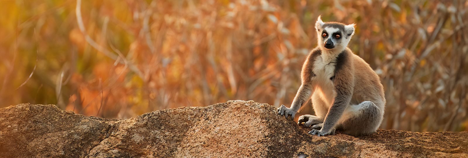 madagaskar-tropikalna-wyspa-na-koncu-swiata