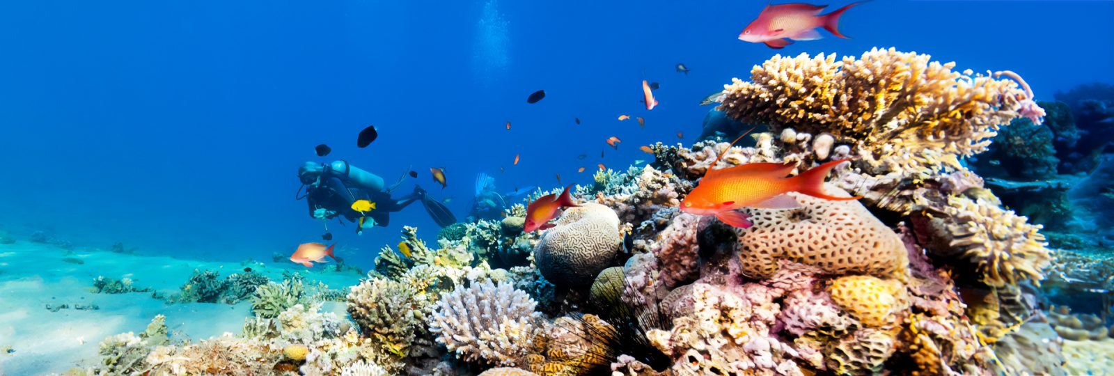 nurkowanie-w-egipcie-najczesciej-zadawane-pytania