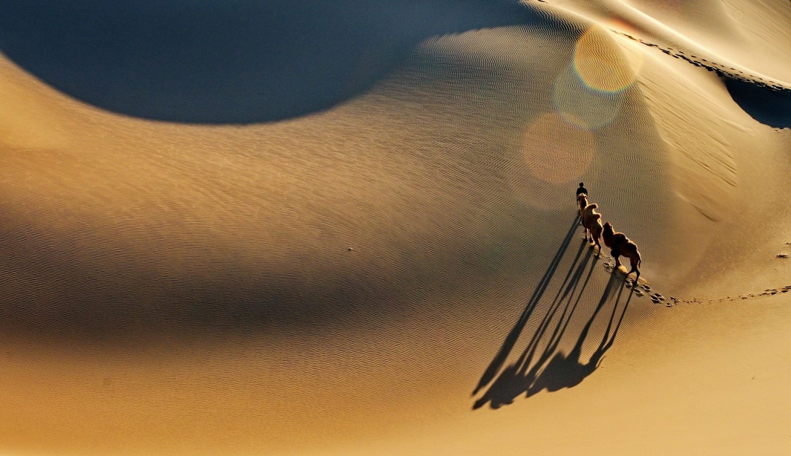 tunezja-8-zaskakujacych-faktow