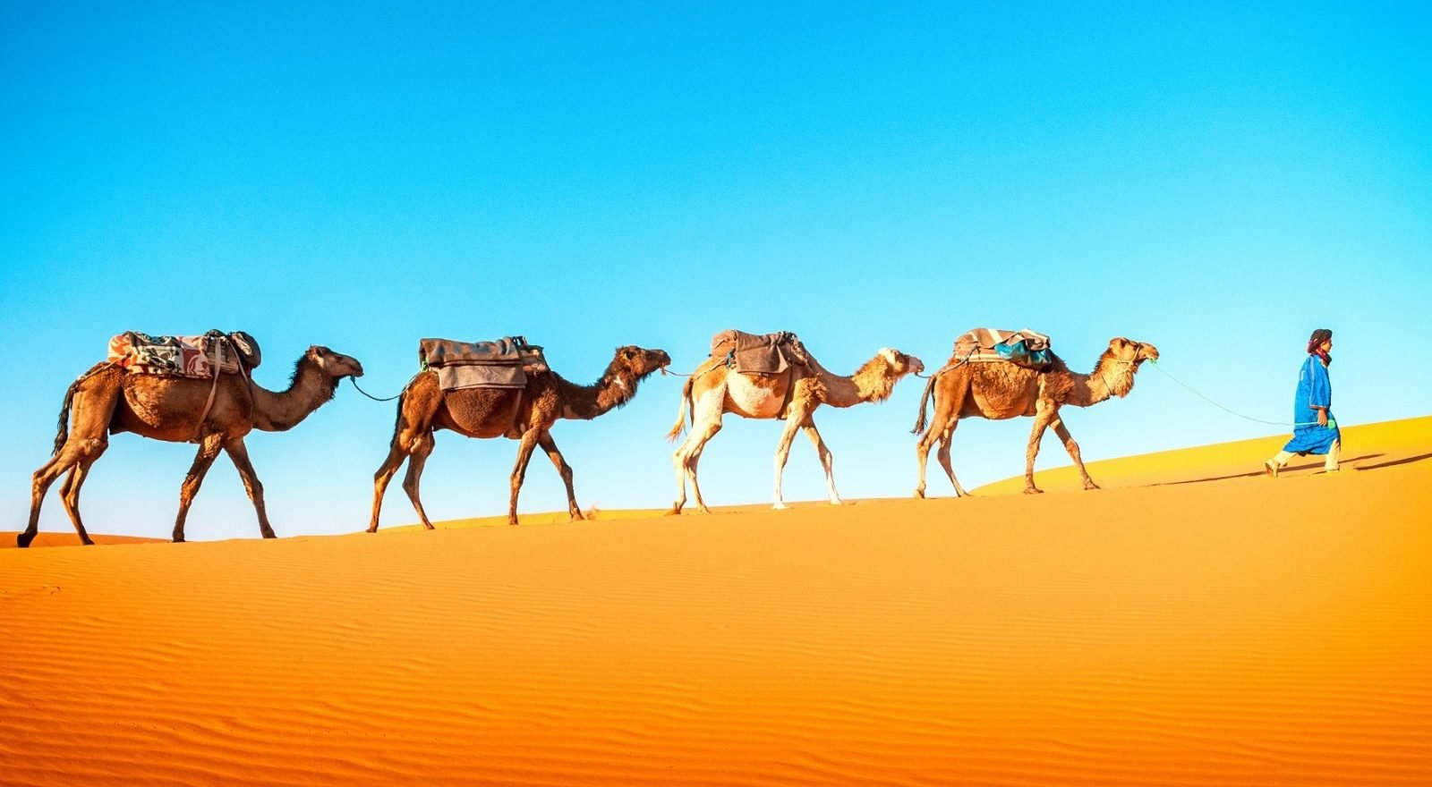 Tunezja – między piaskami Sahary i jaśminową rewolucją