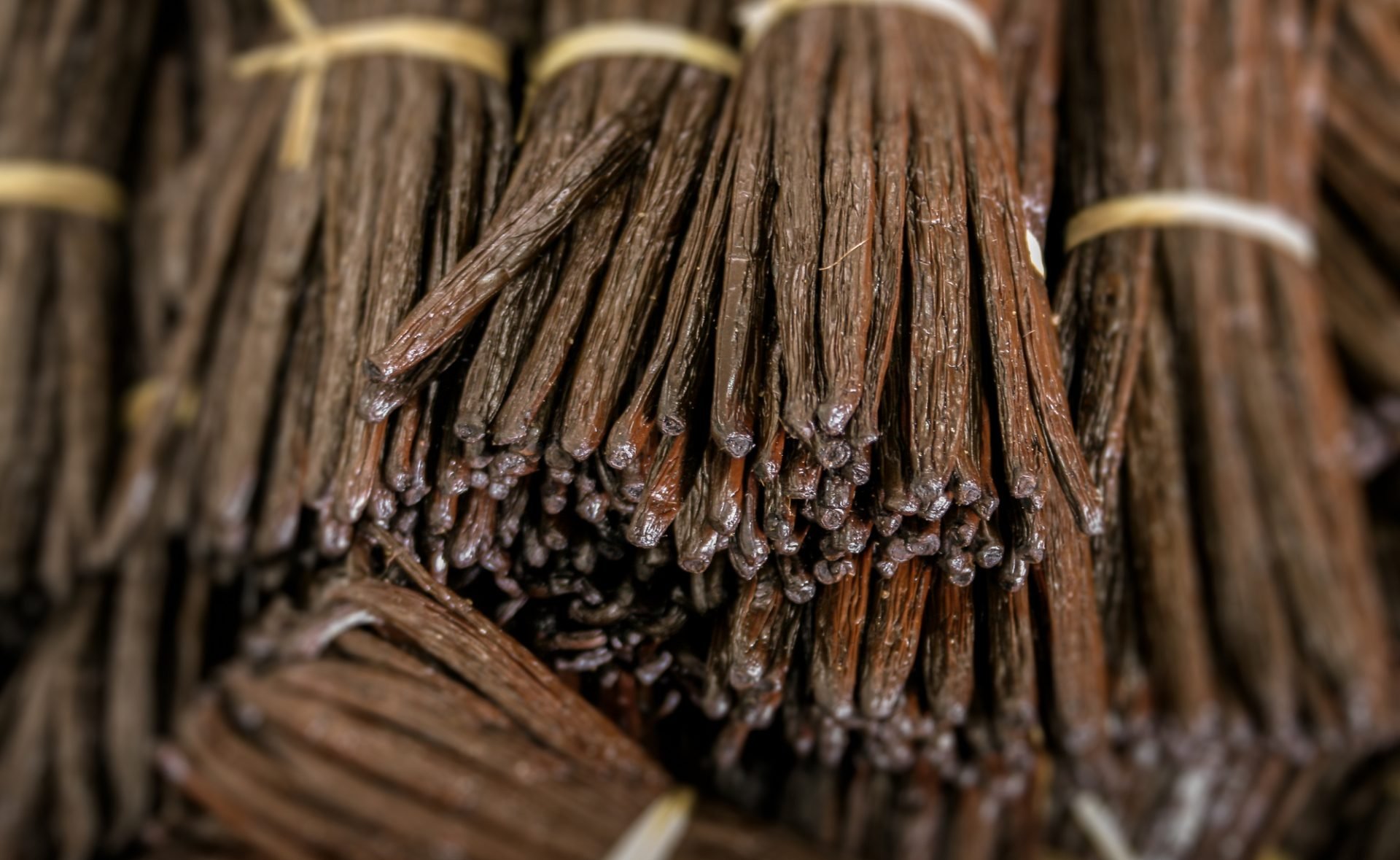 10-powodow-dla-ktorych-warto-odwiedzic-madagaskar-galeria-1