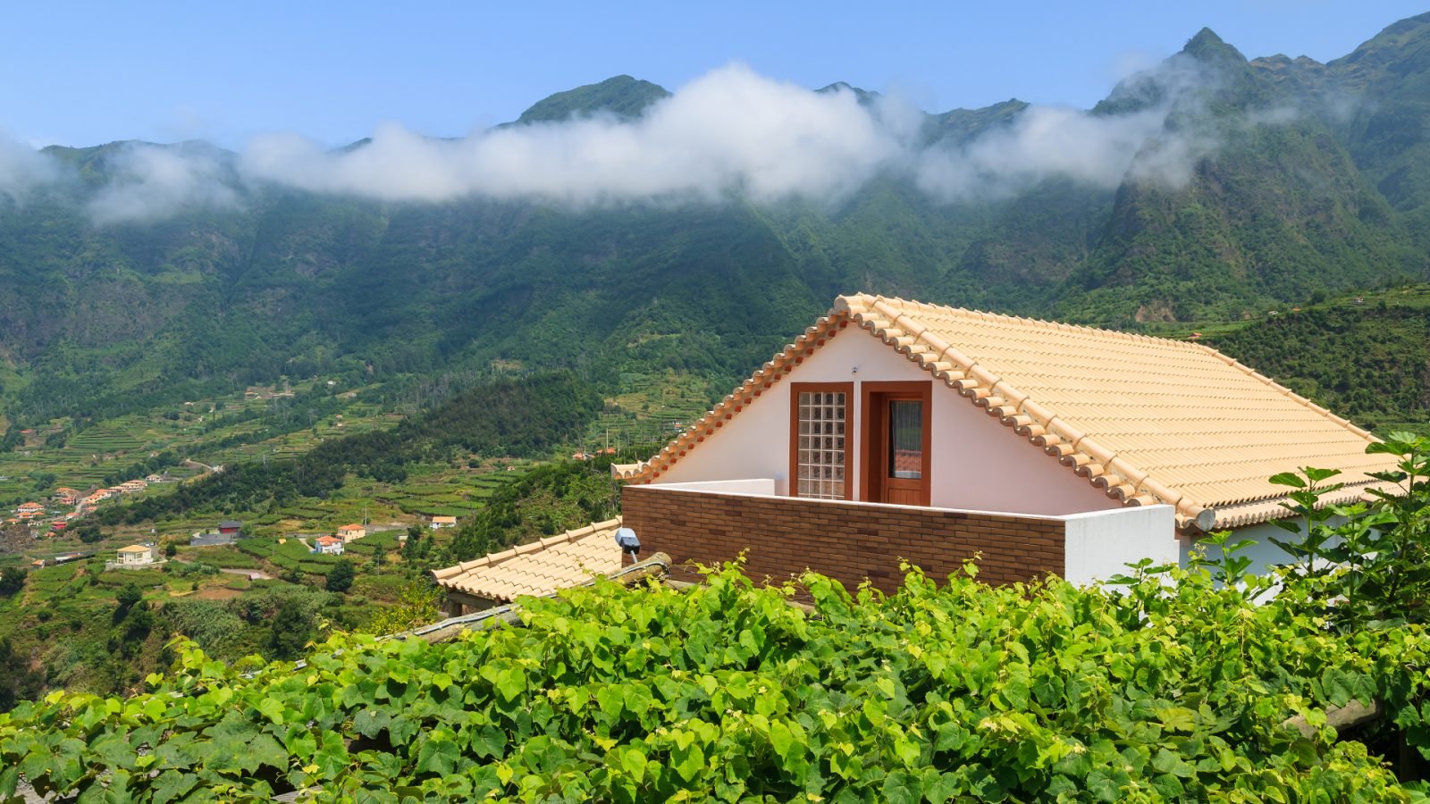 kuchnia-madery-poznaj-i-sprobuj-najwieksze-przysmaki-galeria-2