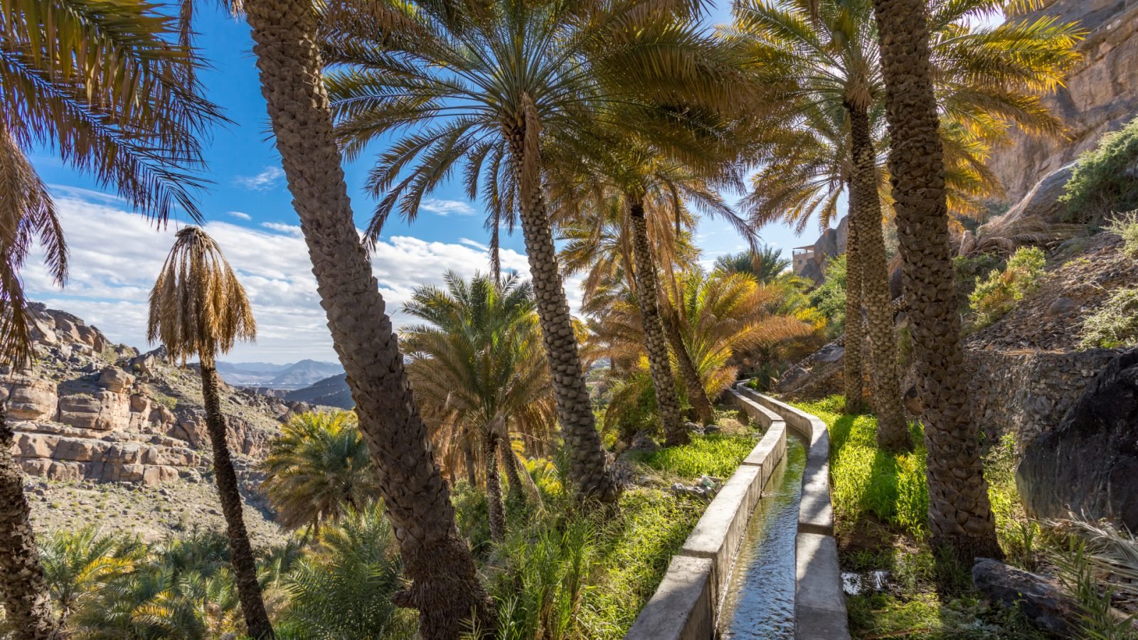 oman-co-zobaczyc-galeria-2