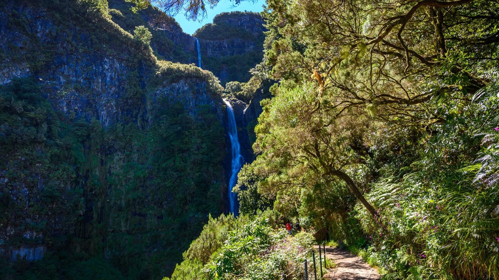 madera-co-warto-wiedziec-przed-wyjazdem-galeria-1