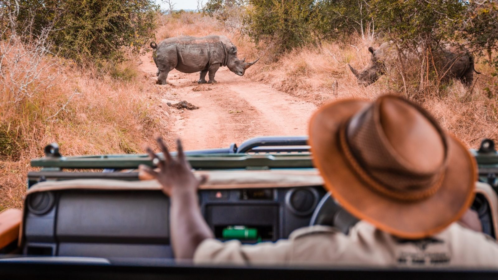 jak-wyglada-safari-w-kenii-galeria-3