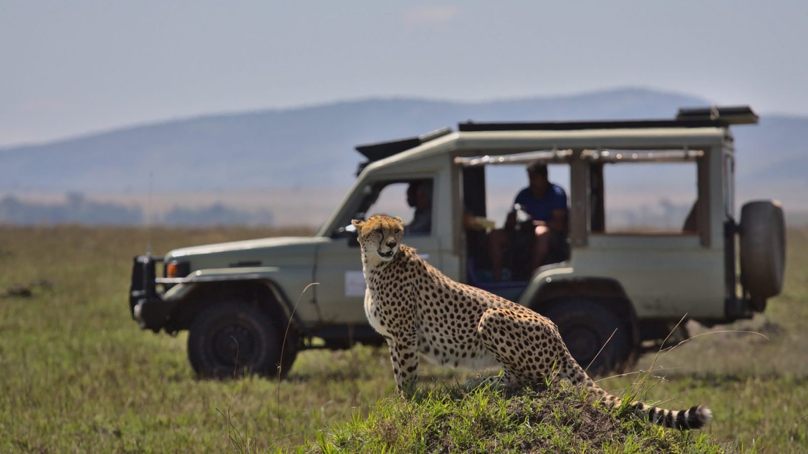 jak-wyglada-safari-w-kenii-galeria-1