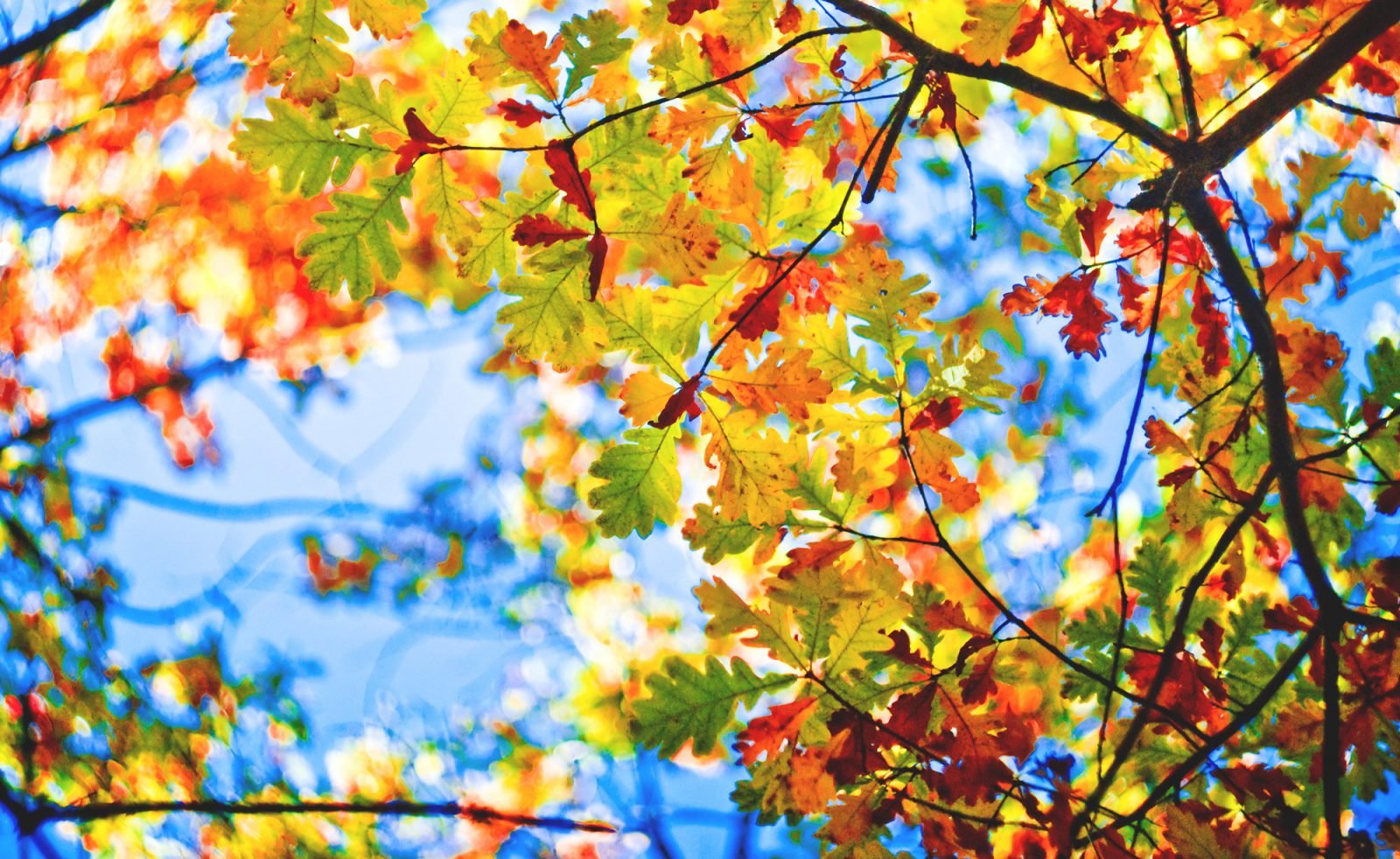 6-miast-ktore-warto-zobaczyc-w-jesienno-zimowej-odslonie