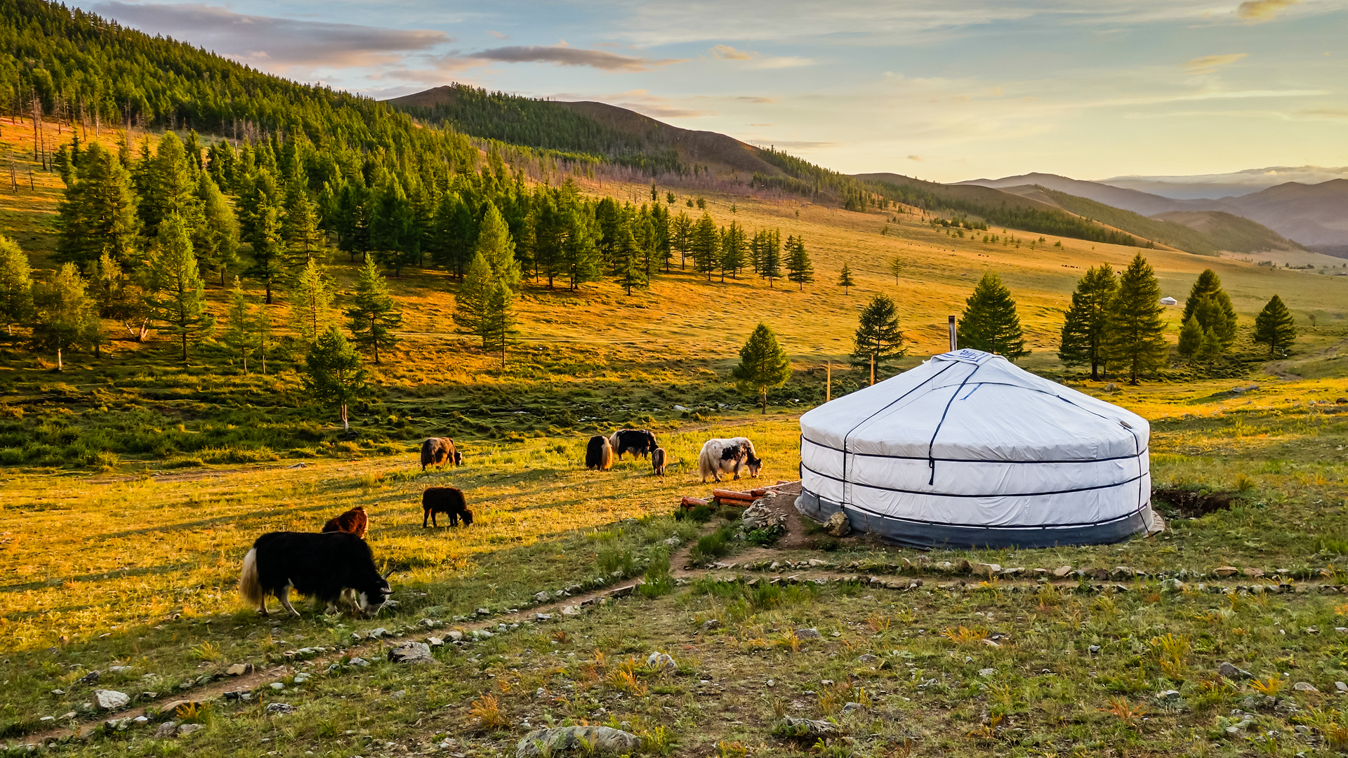 Mongolia