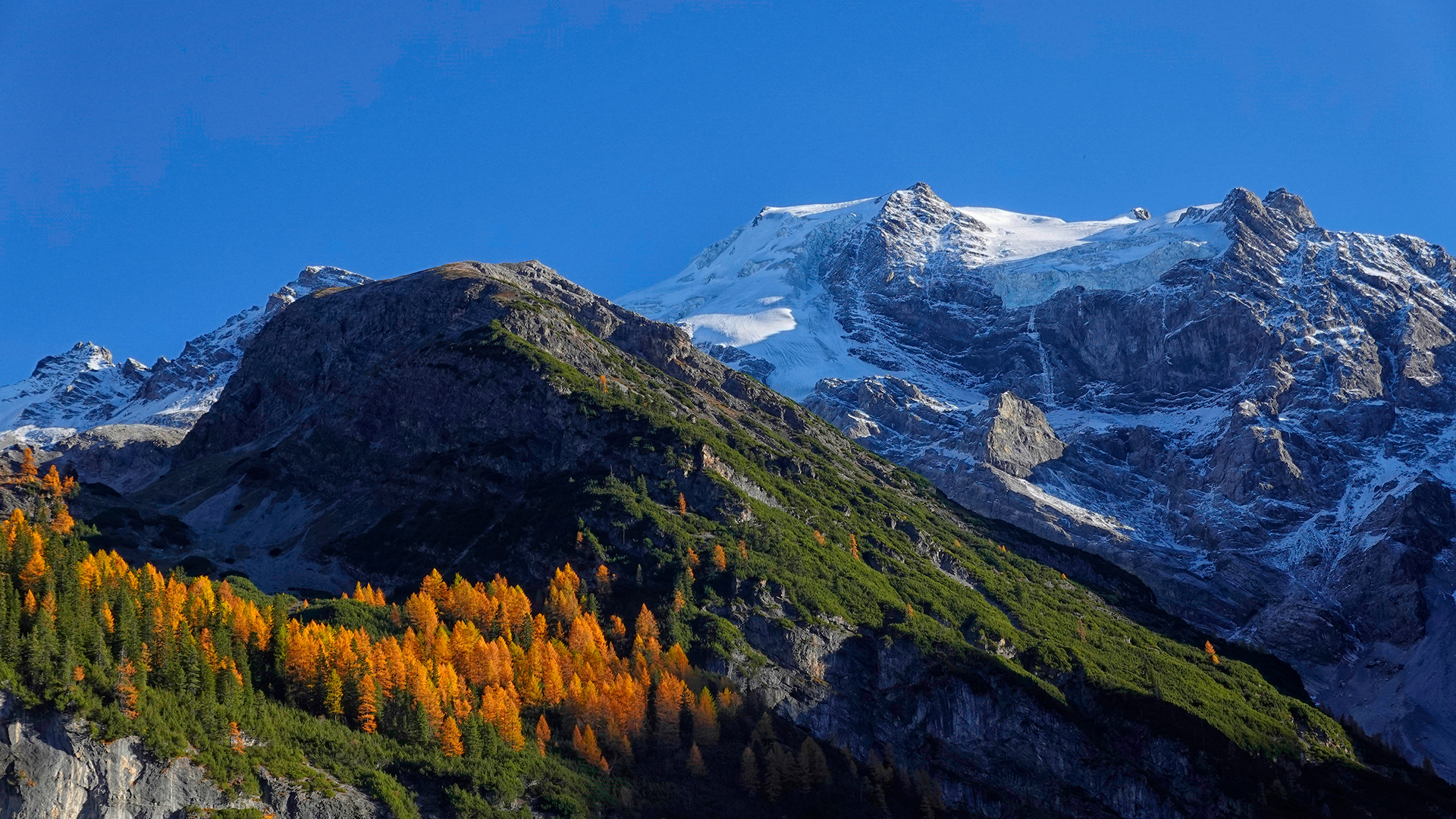 Ortler 