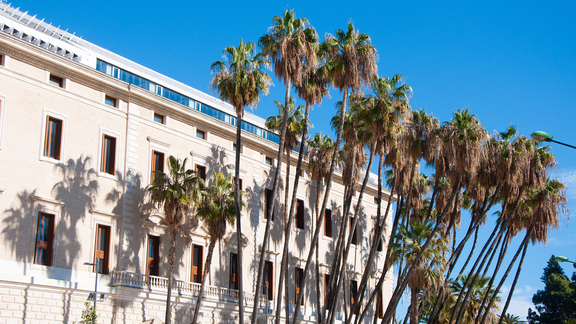 Museo de Malaga