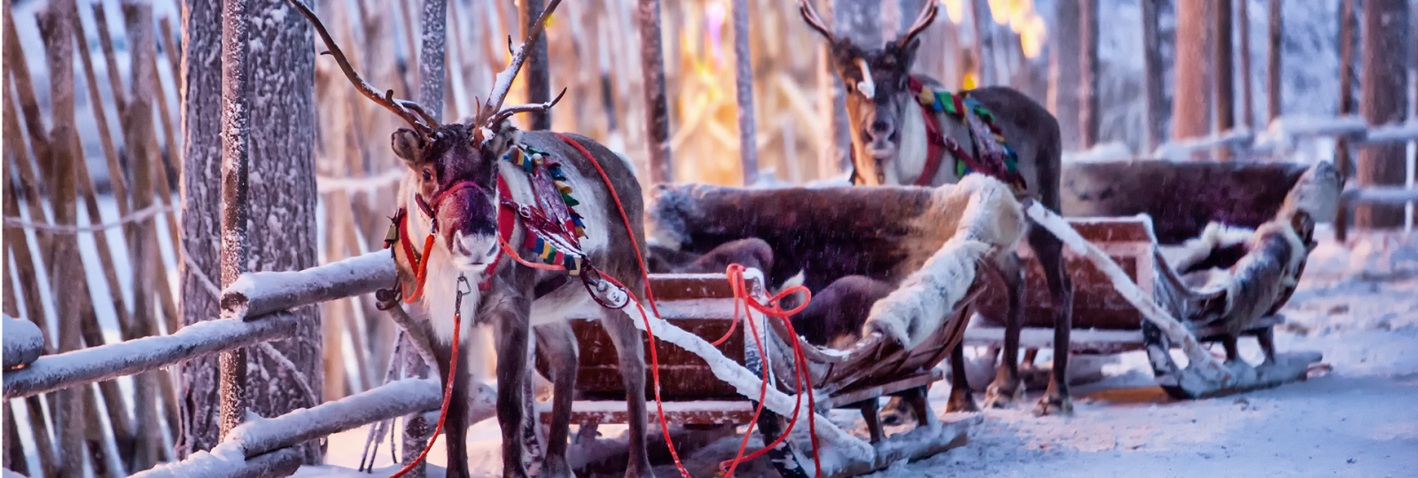laponia-gdzie-mieszka-swiety-mikolaj