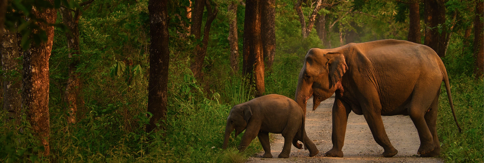 pogoda-w-indiach-kiedy-jechac-zeby-uniknac-deszczu