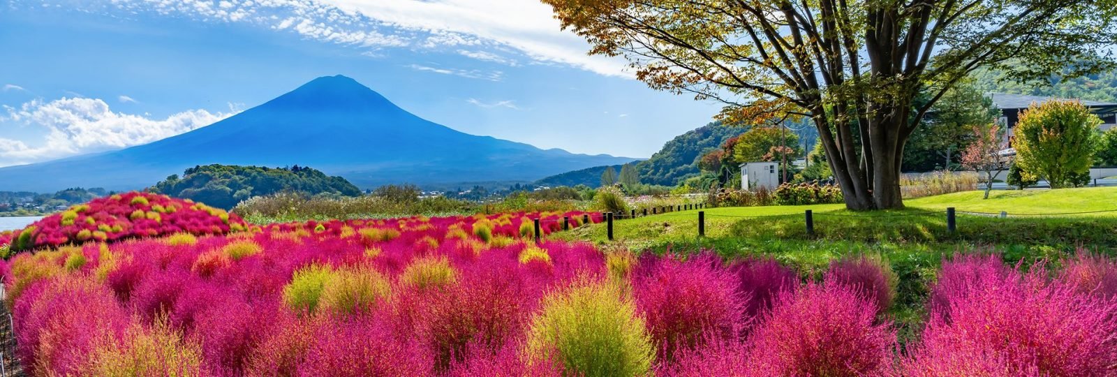 Kiedy jechać do Japonii, żeby uniknąć niepogody?