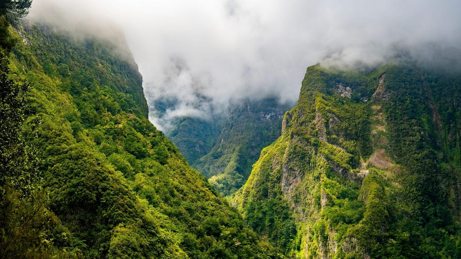 madera-co-warto-wiedziec-przed-wyjazdem-informacja