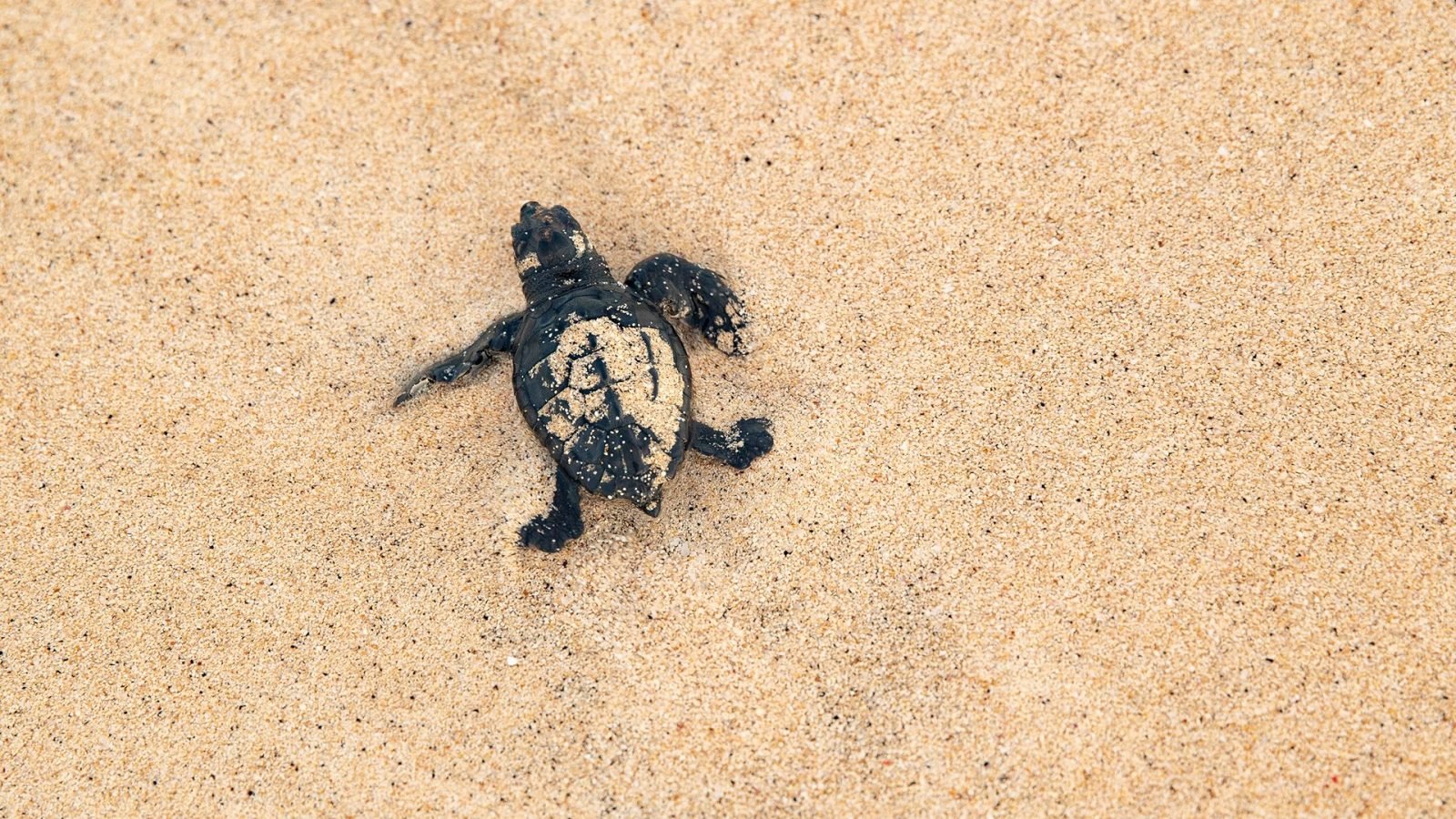 wyspy-zielonego-przyladka-kiedy-jechac-na-urlop-galeria-2