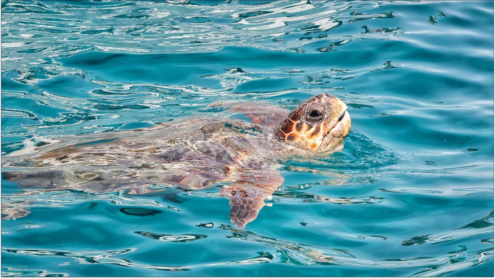 zakynthos-co-zobaczyc-najciekawsze-atrakcje-galeria-2