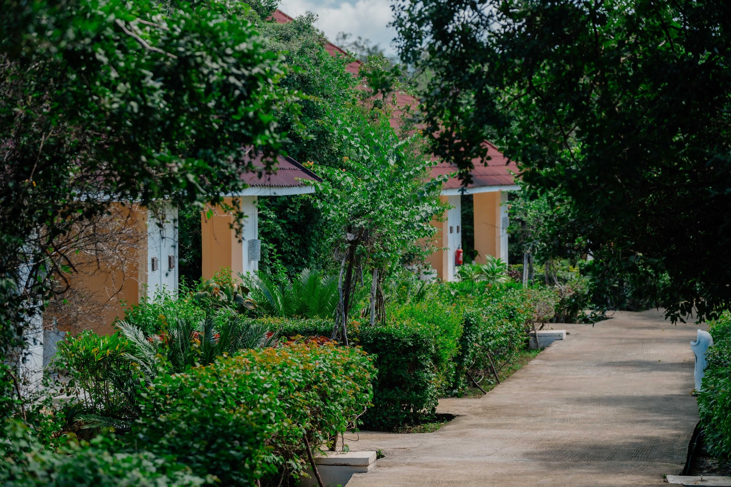 Pearl Beach by Sansi 14