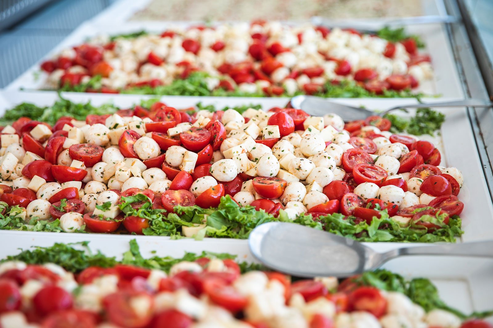 Hotel Bikini Tropicana 24