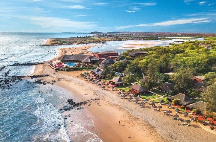 Royal Horizons Baobab 2