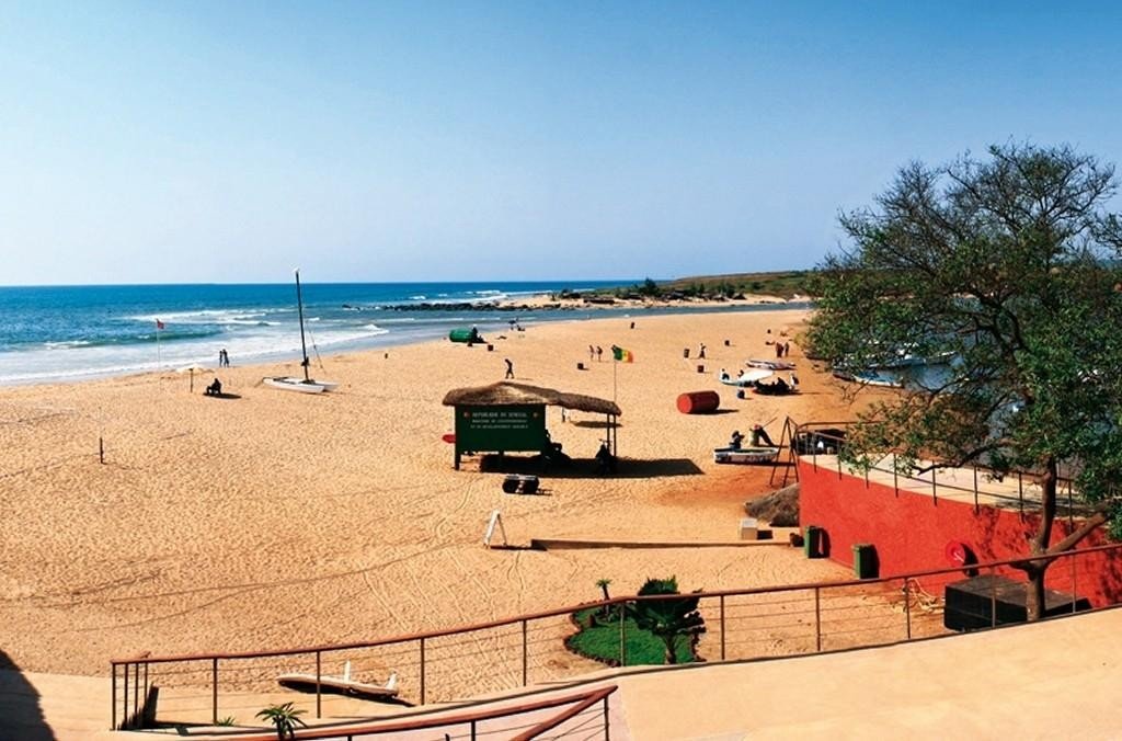 Royal Horizons Baobab 5