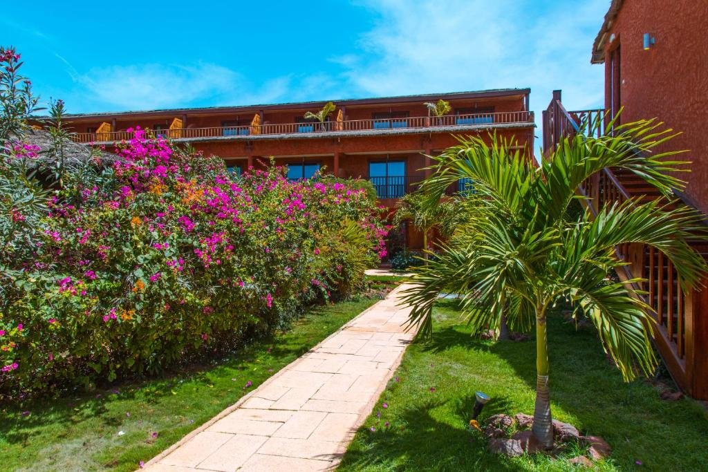 Royal Horizons Baobab 12