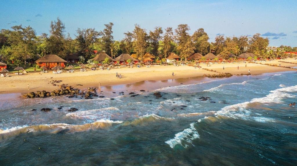 Royal Horizons Baobab 4