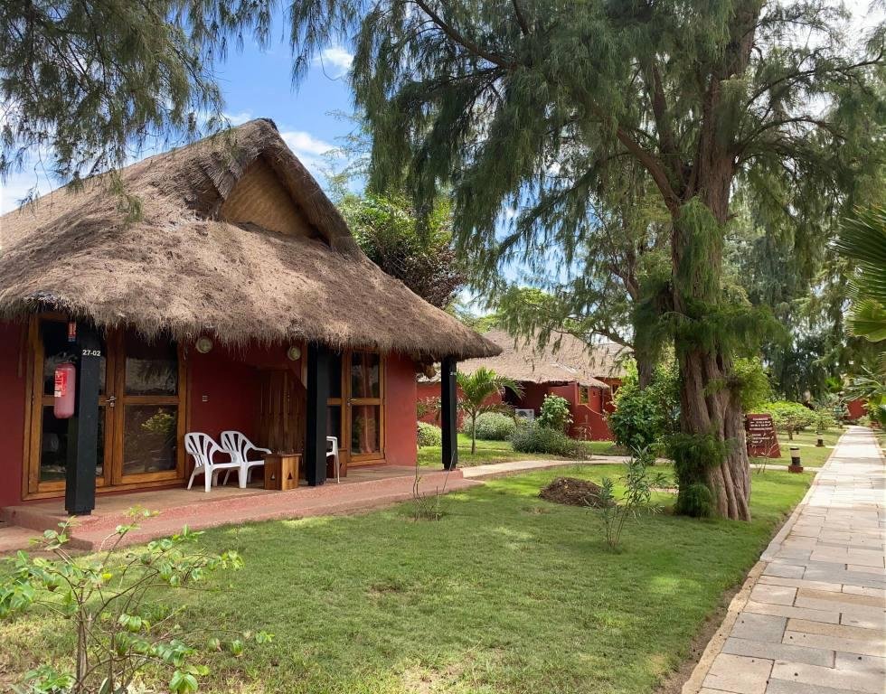 Royal Horizons Baobab 9