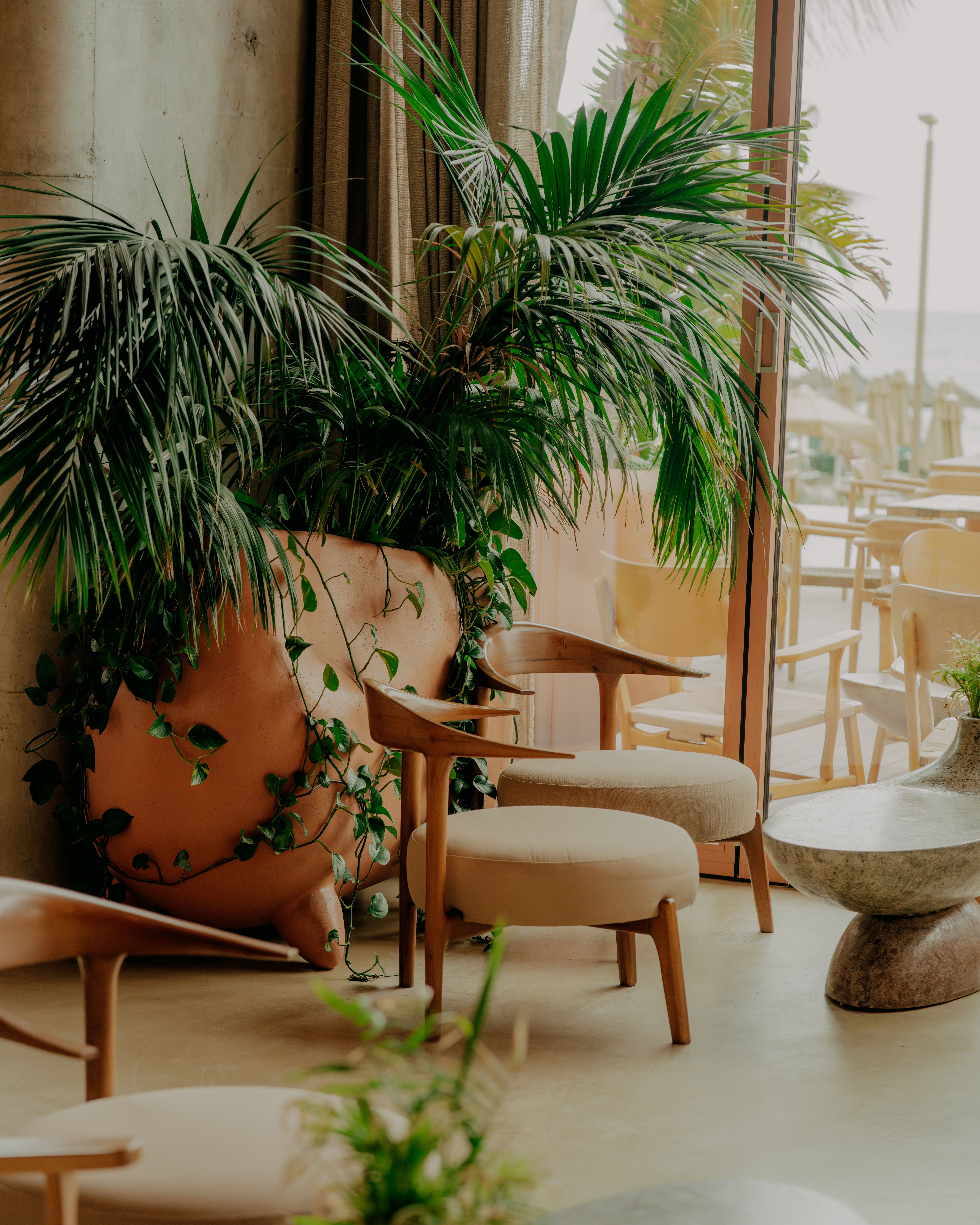 Hotel Epidamn White Sensation 20