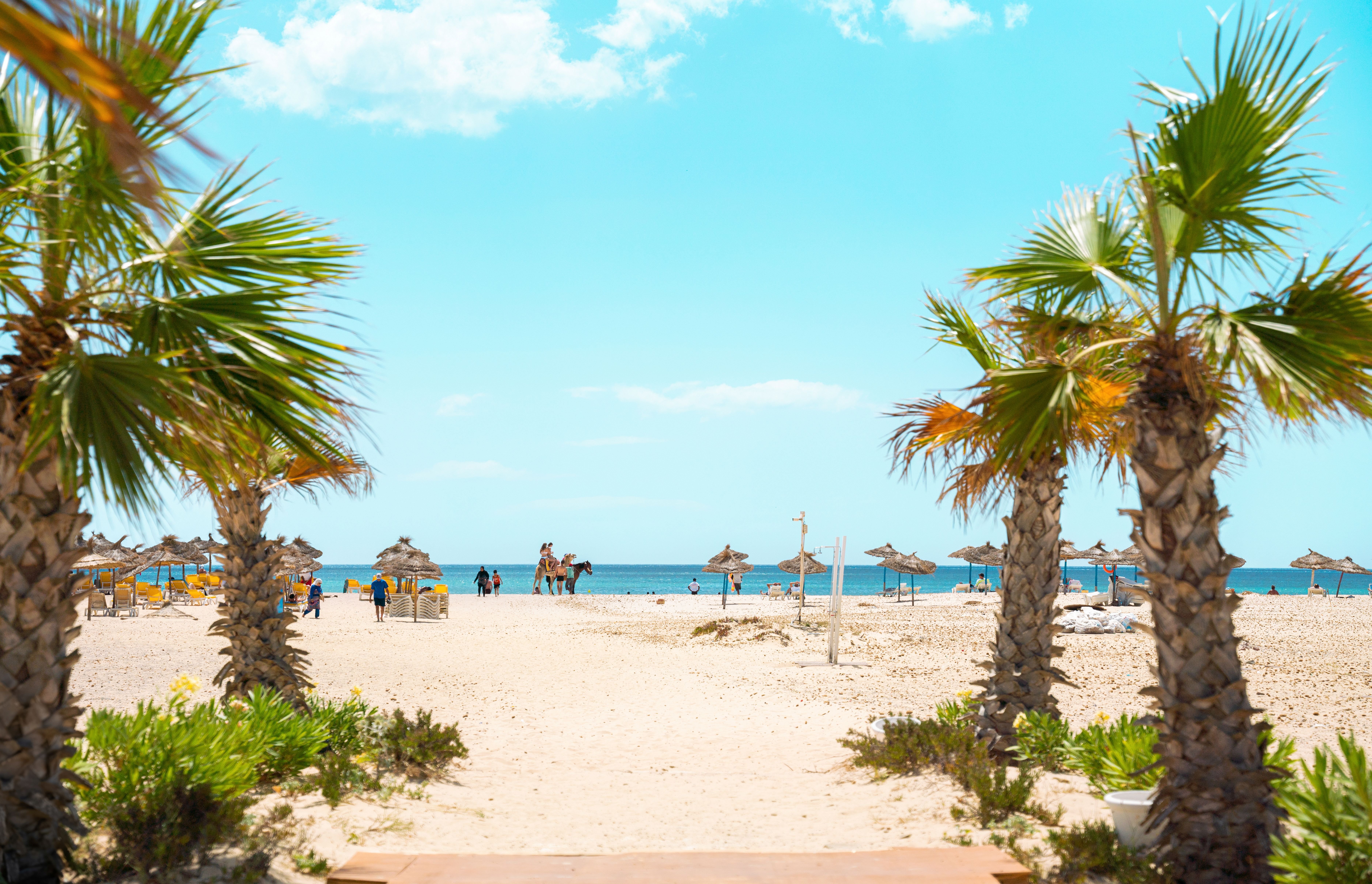 Occidental Marco Polo 3