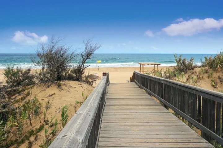 The Navigator - Colombus 21