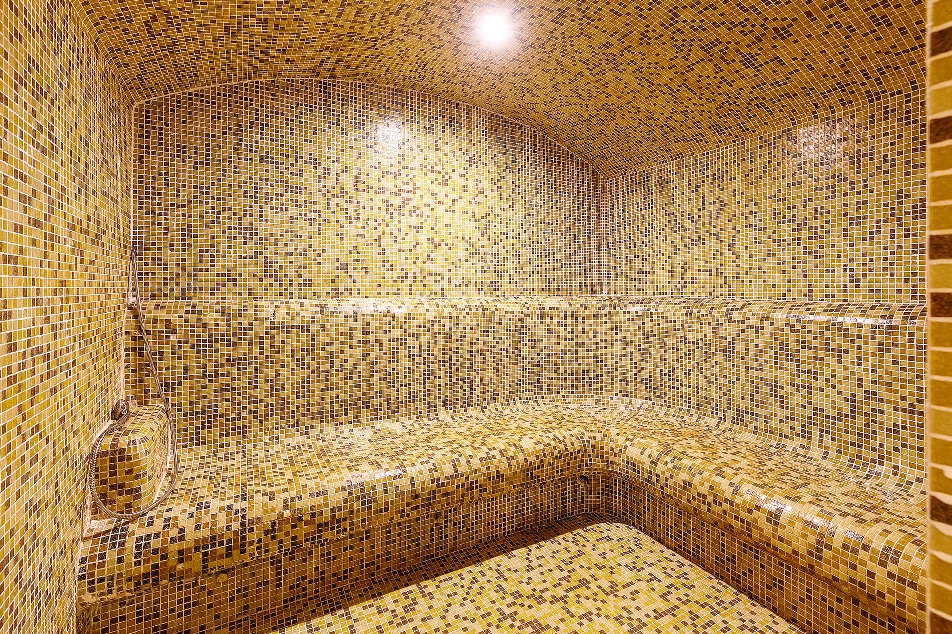 Regnum Bansko Apart Hotel & SPA 14