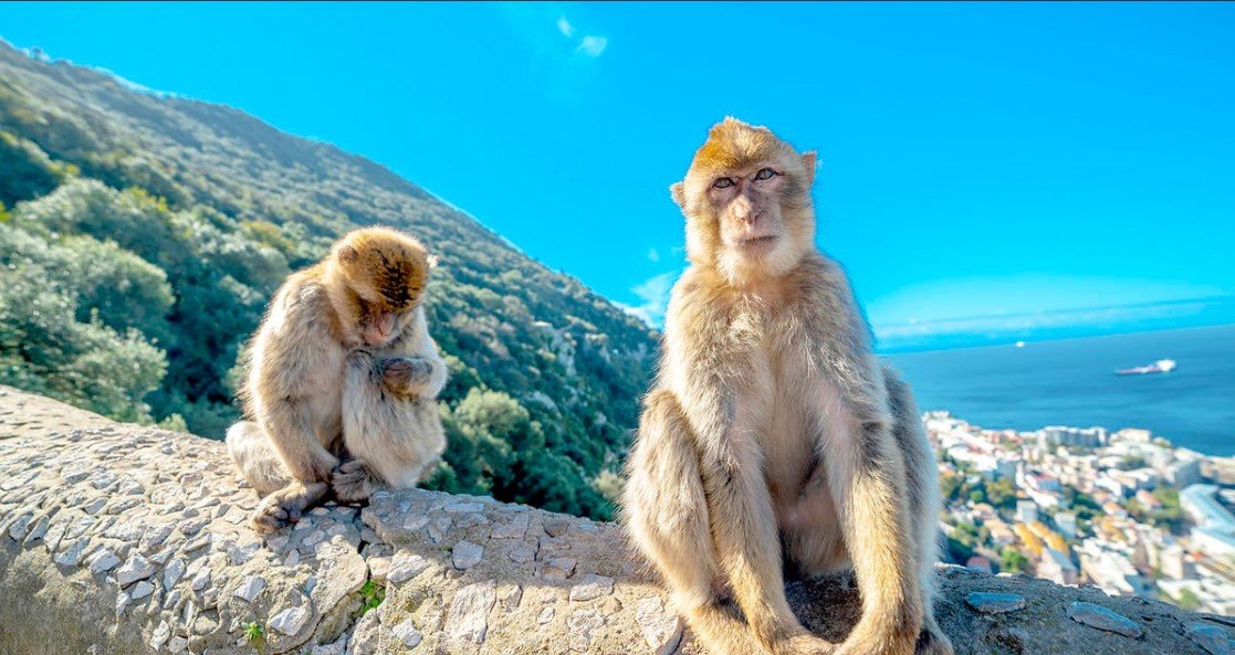 Perly Anadalusie s pobytem u moře 15