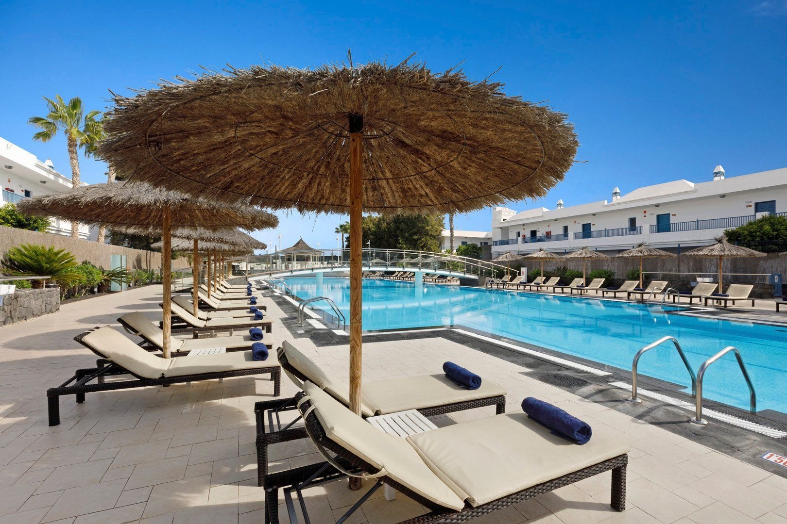 THB Tropical Island 4