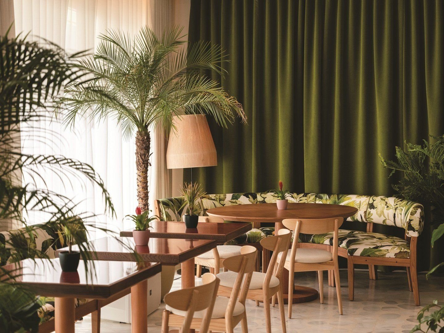 The Standard Ibiza 15