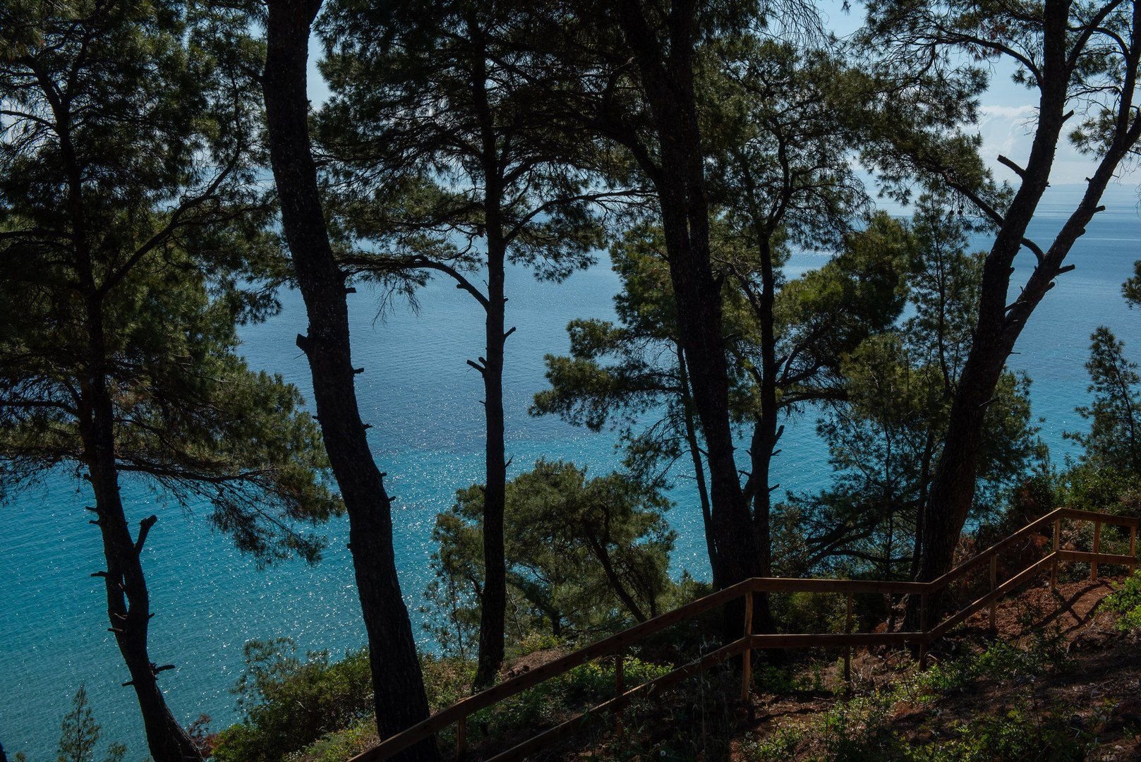 Elies 33 Bio Retreat 8