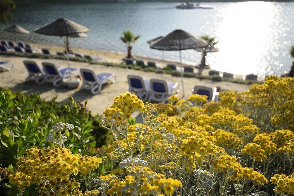 Hotel La Blanche Island 39