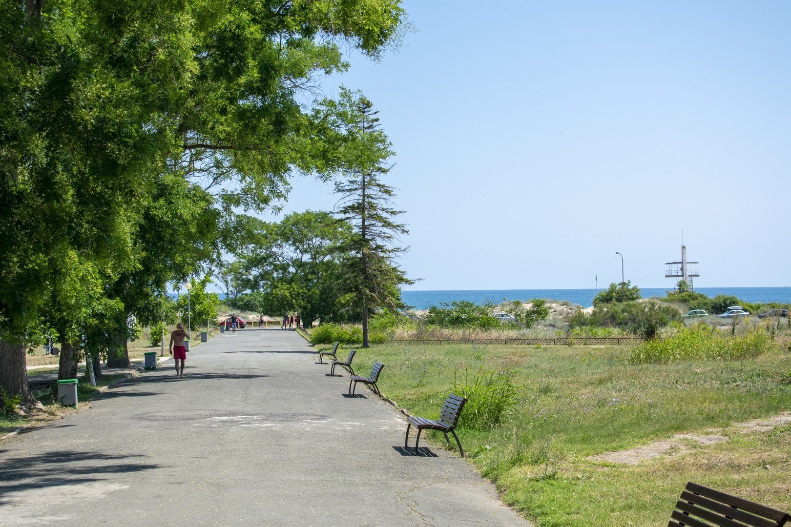 Forest Beach Hotel 22