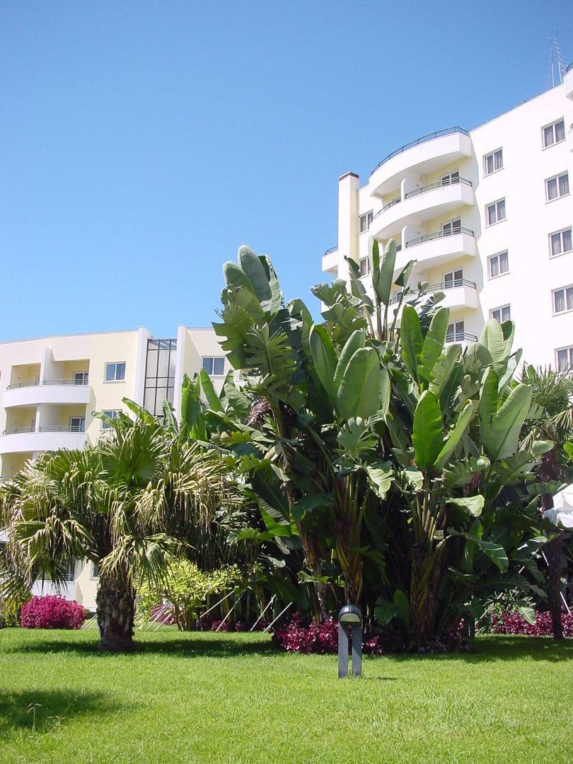 Jardins da Ajuda 2