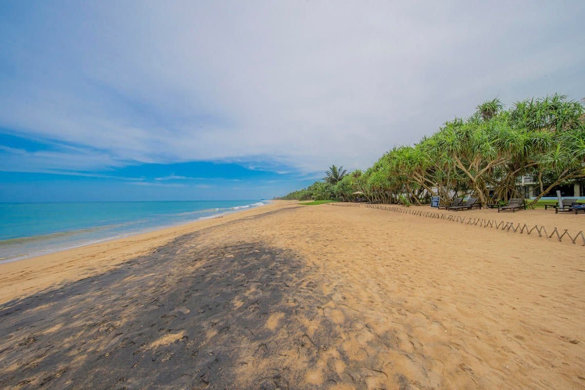Temple Tree Resort & Spa 9