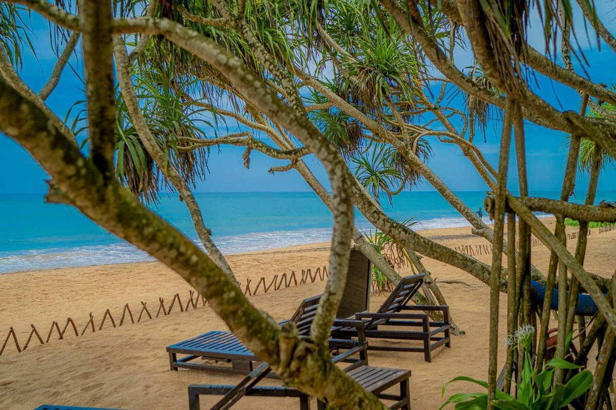 Temple Tree Resort & Spa 10