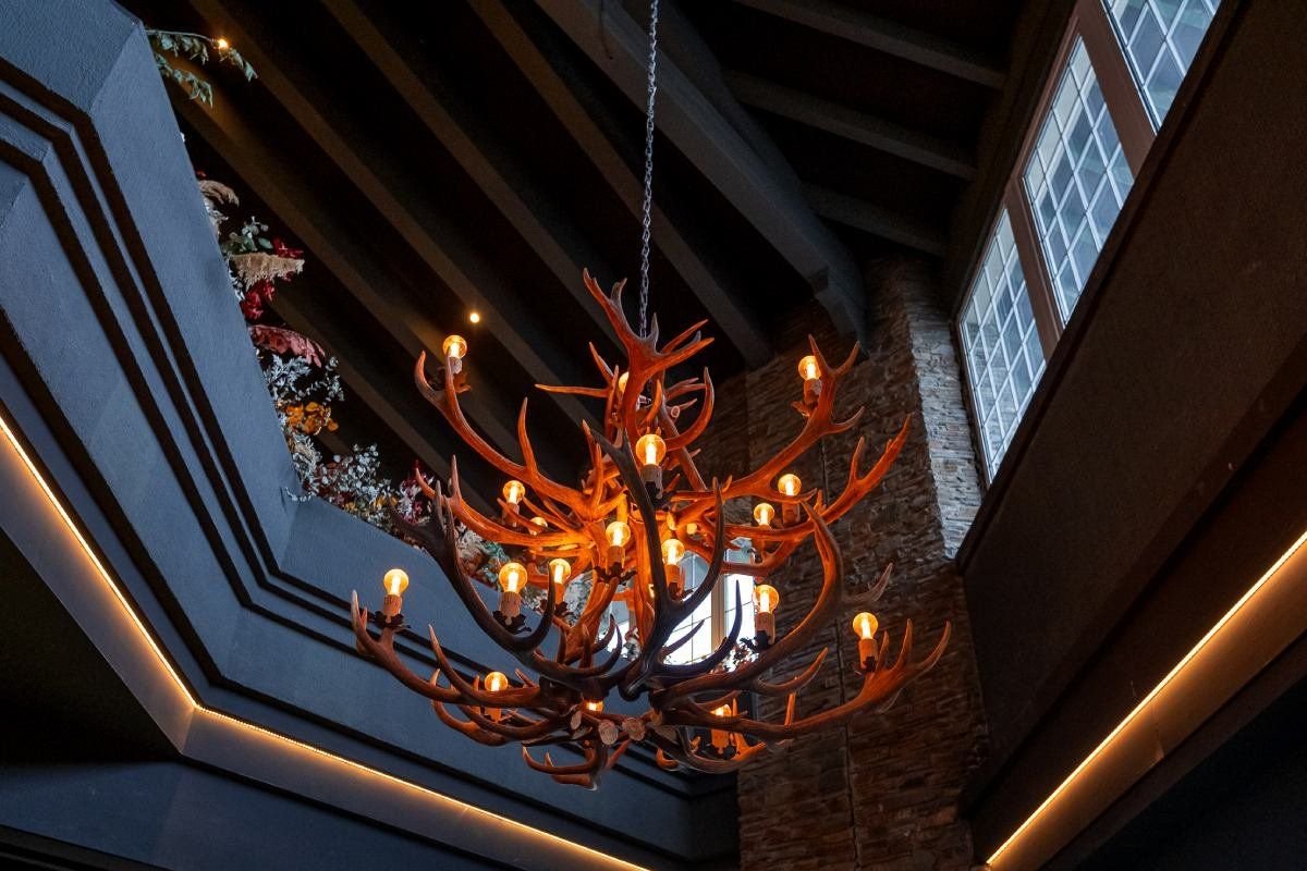 The Mountains Hotel 5