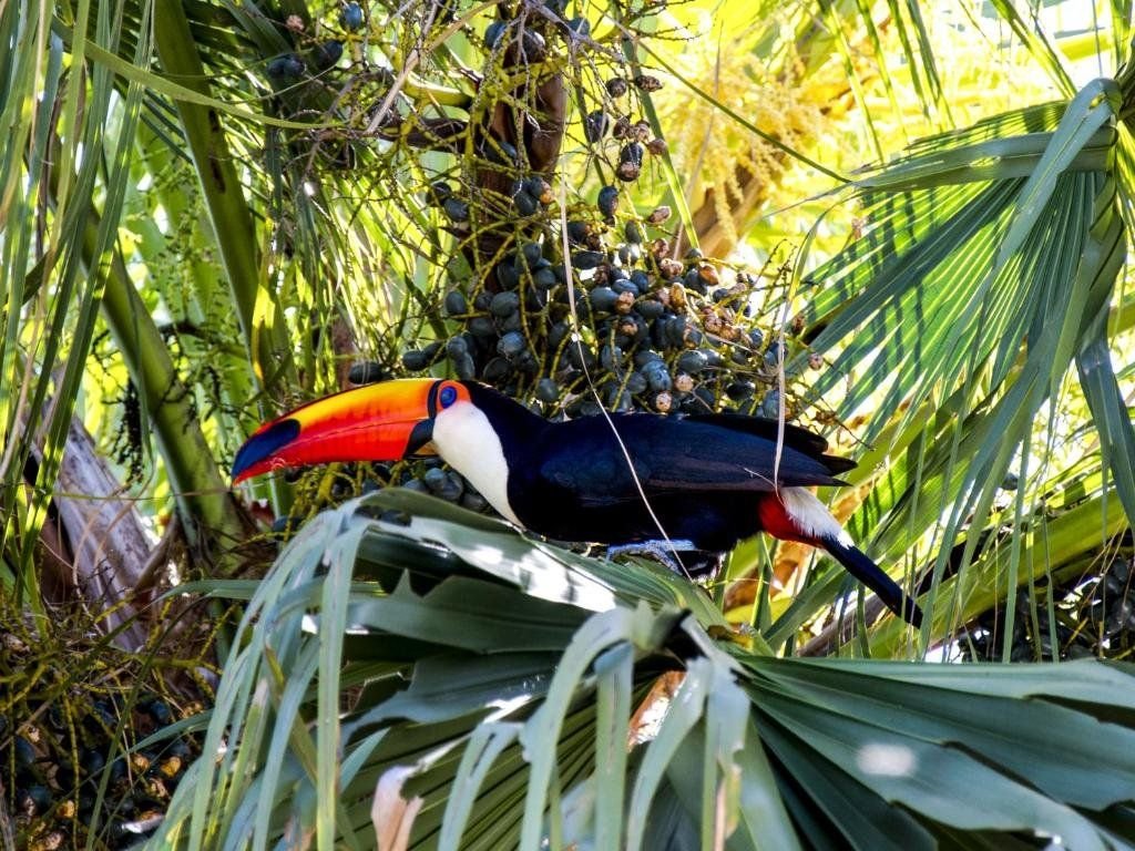 Buzios Espiritualidade Hotel 7