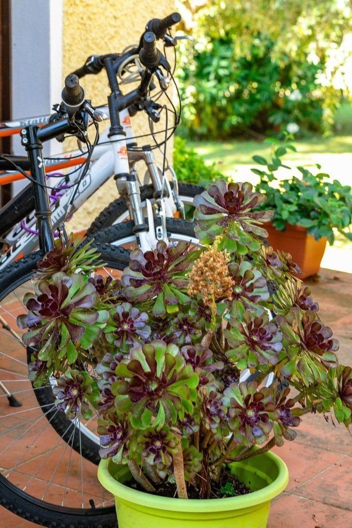 Residence Il Paradiso 11