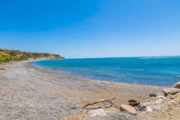 Triton Authentic Cretan 19