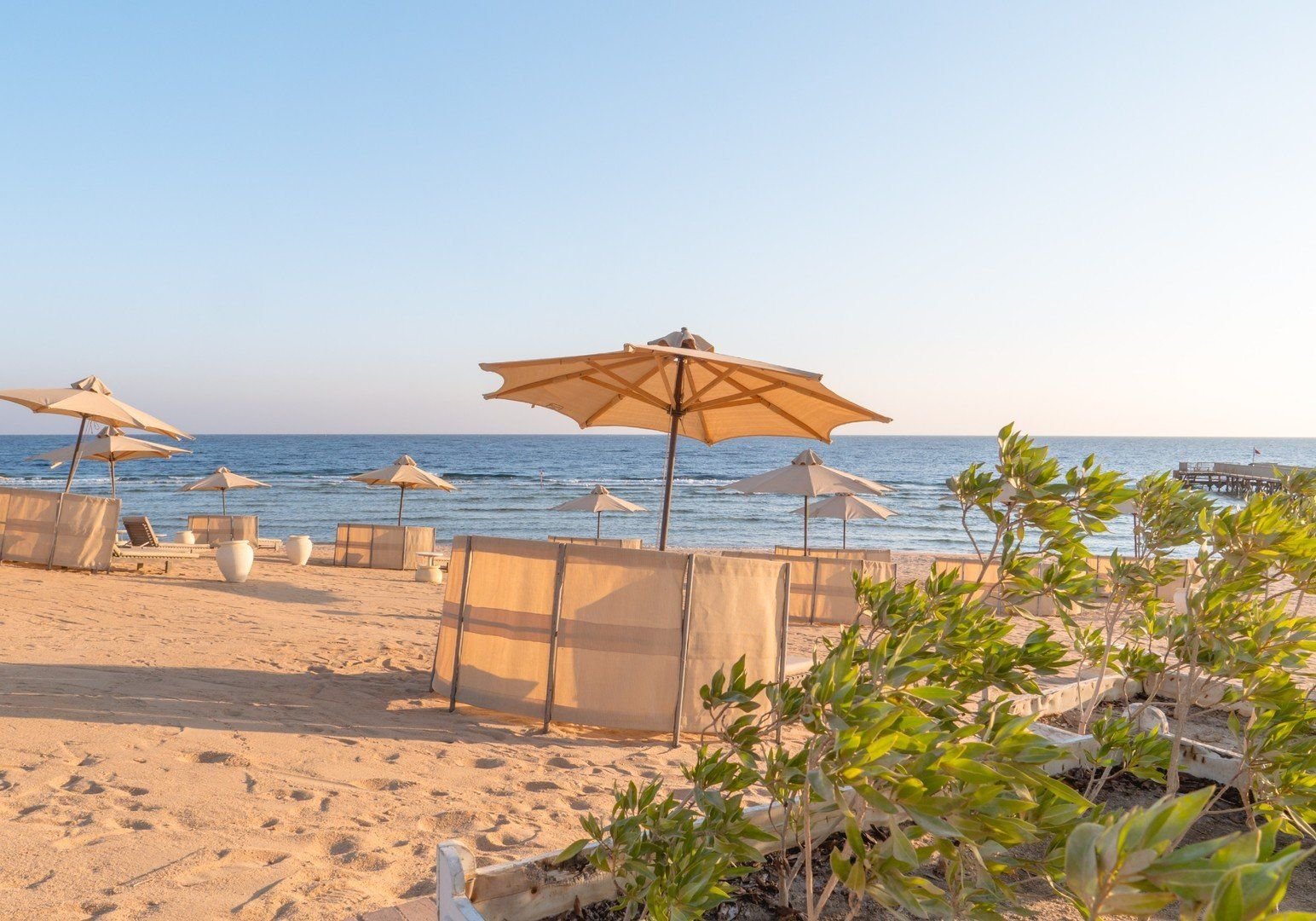 Serenity Alma Heights 30