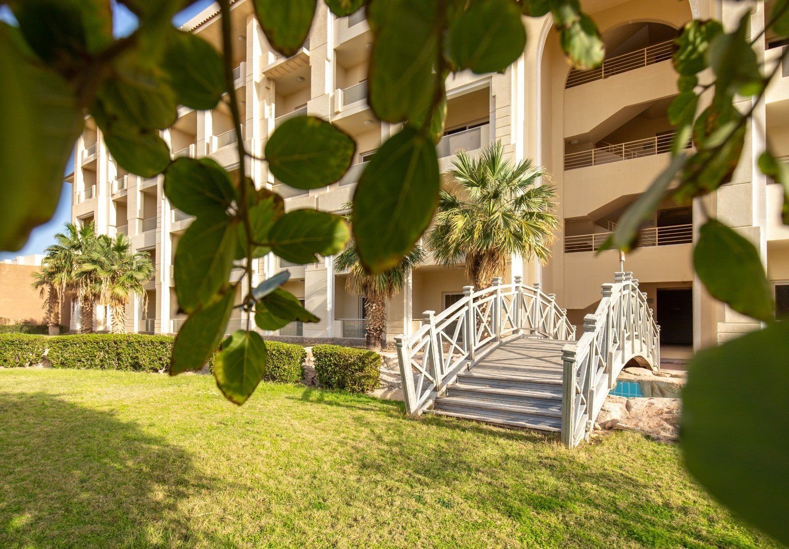 Serenity Alma Heights 50