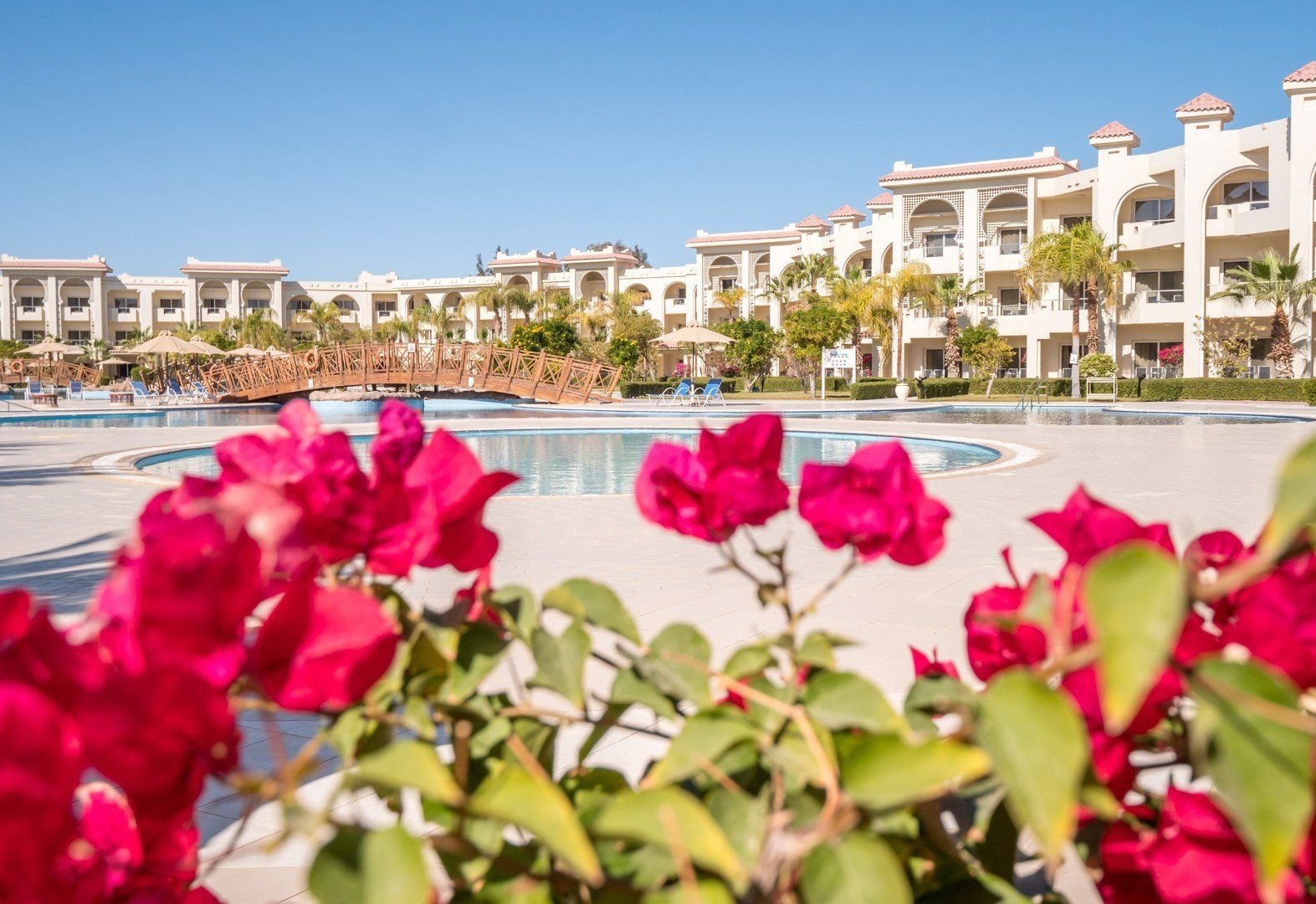 Serenity Alma Heights 70