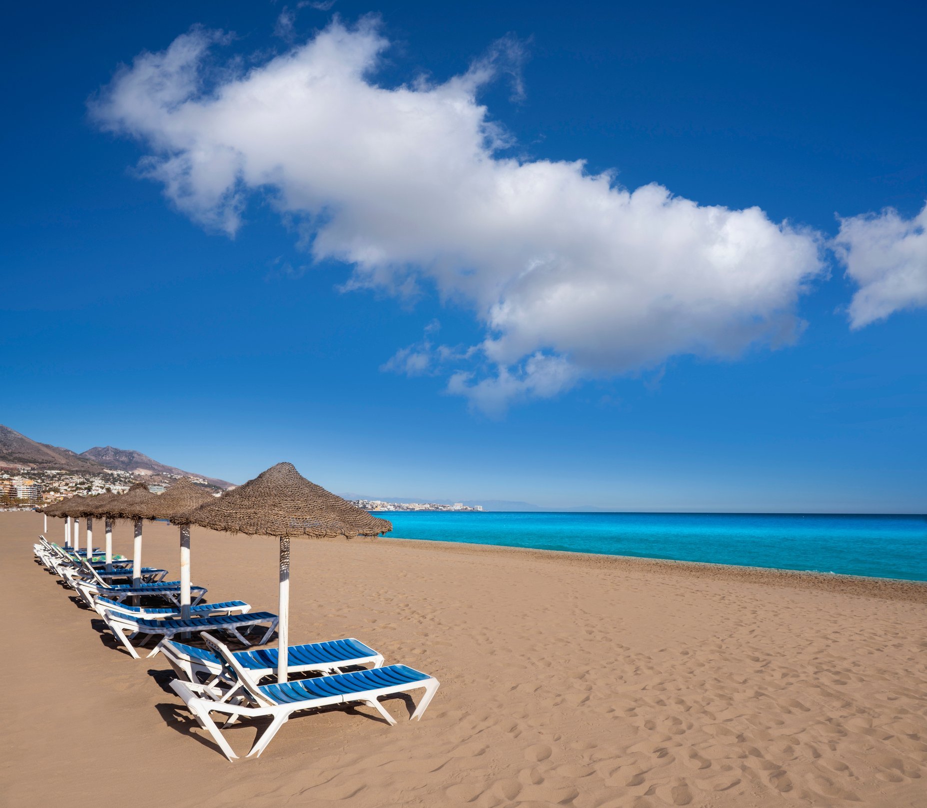 Las Palmeras Affiliated by FERGUS 19